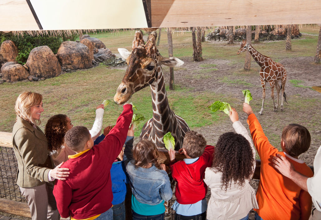 Kinder füttern Giraffen im Zoo unter Aufsicht von Mitarbeitenden, Symbol für Besuchererlebnisse mit Unterstützung von Schichtplanung und aufgabenbasierter Einsatzsteuerung.